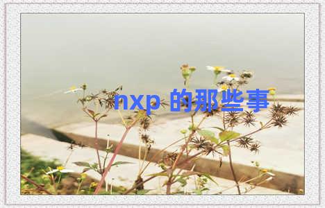 nxp 的那些事